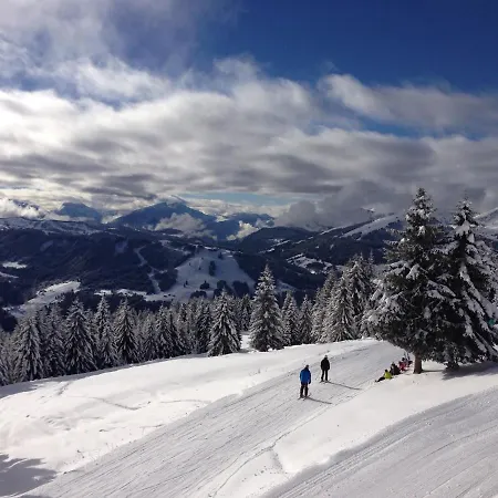 Chalet Peillex